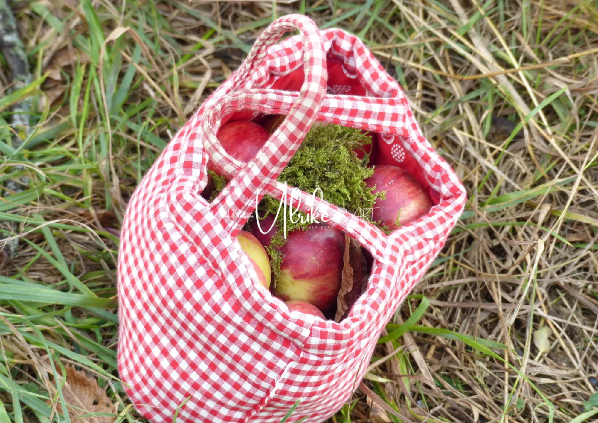 Äpfel in einer Tasche auf einer Wiese stehend
