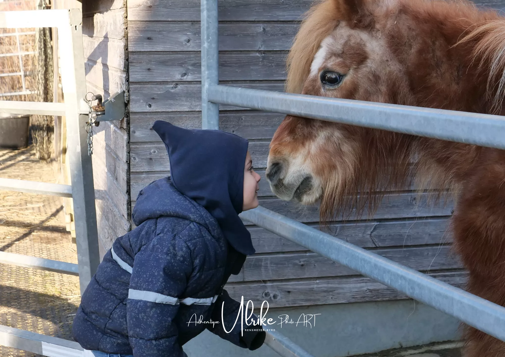 Kind vor einem Pferd im Pferdestall