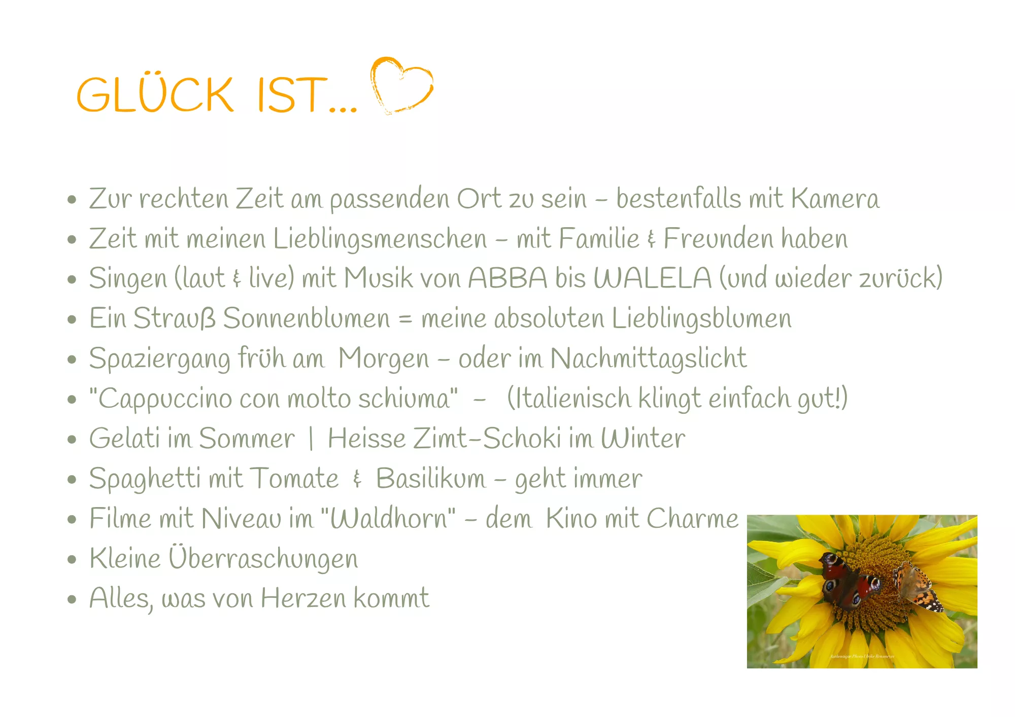 Text und Sonnenblume